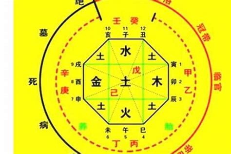 2024八字|生辰八字算命、五行喜用神查詢（免費測算）